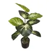 كما ان النباتات الخضراء تُزرع في الاعشاب الخضراء تنمو بسهولة لتنقية الهواء Item Picture